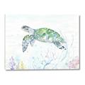 Picture of Sea Turtle II  _GroupedProduct_Rectangle_Landscape_Canvas_