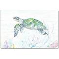 Picture of Sea Turtle II  _GroupedProduct_Rectangle_Landscape_Canvas_