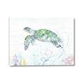 Picture of Sea Turtle II  _GroupedProduct_Rectangle_Landscape_Canvas_