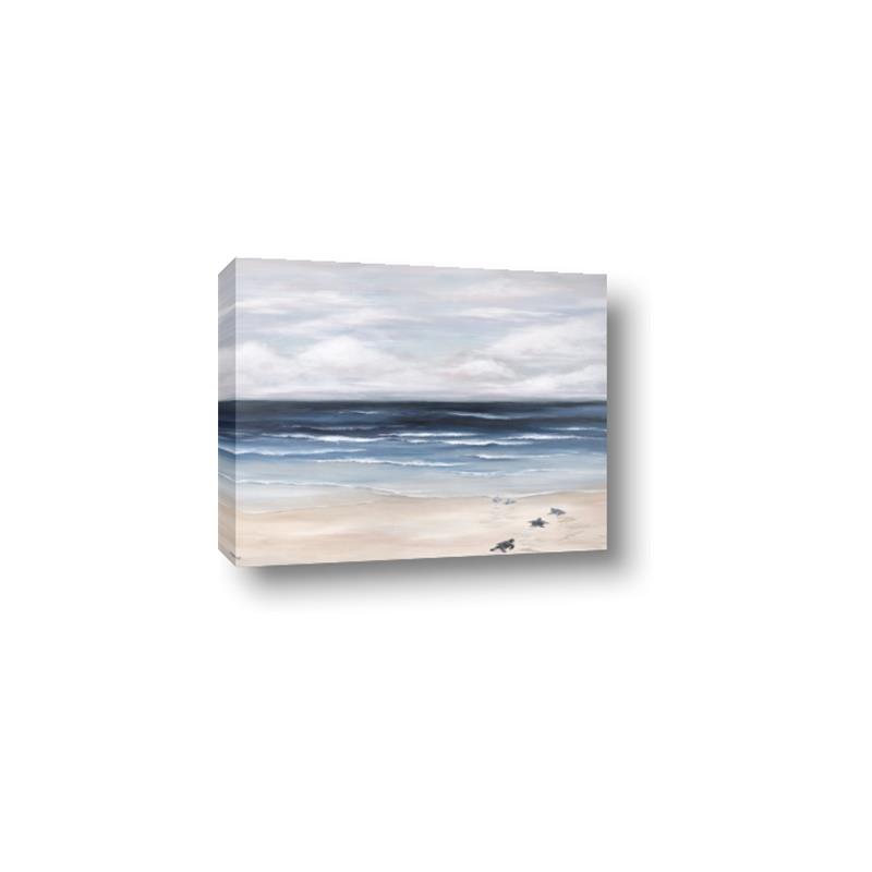 Picture of Turtle on the Shore _GroupedProduct_Rectangle_Landscape_Canvas_