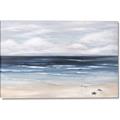 Picture of Turtle on the Shore _GroupedProduct_Rectangle_Landscape_Canvas_