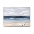 Picture of Turtle on the Shore _GroupedProduct_Rectangle_Landscape_Canvas_