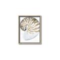 Picture of Sea Shell II _GroupedProduct_Rectangle_Portrait_Canvas_Framed_