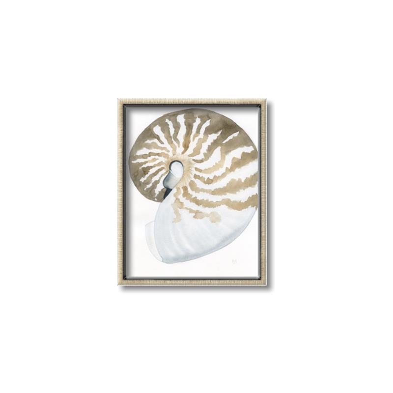 Picture of Sea Shell II _GroupedProduct_Rectangle_Portrait_Canvas_Framed_
