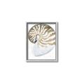 Picture of Sea Shell II _GroupedProduct_Rectangle_Portrait_Canvas_Framed_