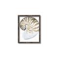 Picture of Sea Shell II _GroupedProduct_Rectangle_Portrait_Canvas_Framed_