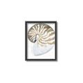 Picture of Sea Shell II _GroupedProduct_Rectangle_Portrait_Canvas_Framed_