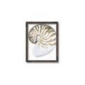 Picture of Sea Shell II _GroupedProduct_Rectangle_Portrait_Canvas_Framed_