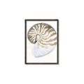 Picture of Sea Shell II _GroupedProduct_Rectangle_Portrait_Canvas_Framed_
