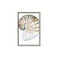 Picture of Sea Shell II _GroupedProduct_Rectangle_Portrait_Canvas_Framed_