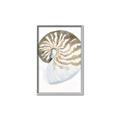 Picture of Sea Shell II _GroupedProduct_Rectangle_Portrait_Canvas_Framed_