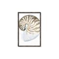 Picture of Sea Shell II _GroupedProduct_Rectangle_Portrait_Canvas_Framed_