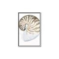 Picture of Sea Shell II _GroupedProduct_Rectangle_Portrait_Canvas_Framed_
