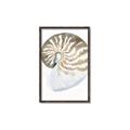 Picture of Sea Shell II _GroupedProduct_Rectangle_Portrait_Canvas_Framed_