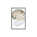 Picture of Sea Shell II _GroupedProduct_Rectangle_Portrait_Canvas_Framed_