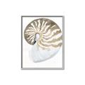 Picture of Sea Shell II _GroupedProduct_Rectangle_Portrait_Canvas_Framed_