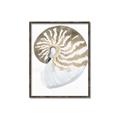 Picture of Sea Shell II _GroupedProduct_Rectangle_Portrait_Canvas_Framed_