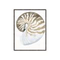 Picture of Sea Shell II _GroupedProduct_Rectangle_Portrait_Canvas_Framed_