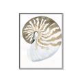 Picture of Sea Shell II _GroupedProduct_Rectangle_Portrait_Canvas_Framed_