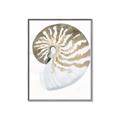 Picture of Sea Shell II _GroupedProduct_Rectangle_Portrait_Canvas_Framed_