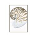 Picture of Sea Shell II _GroupedProduct_Rectangle_Portrait_Canvas_Framed_