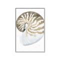 Picture of Sea Shell II _GroupedProduct_Rectangle_Portrait_Canvas_Framed_