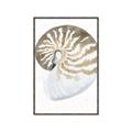 Picture of Sea Shell II _GroupedProduct_Rectangle_Portrait_Canvas_Framed_