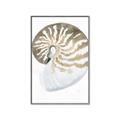 Picture of Sea Shell II _GroupedProduct_Rectangle_Portrait_Canvas_Framed_