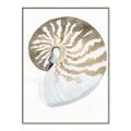 Picture of Sea Shell II _GroupedProduct_Rectangle_Portrait_Canvas_Framed_