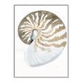 Picture of Sea Shell II _GroupedProduct_Rectangle_Portrait_Canvas_Framed_