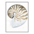 Picture of Sea Shell II _GroupedProduct_Rectangle_Portrait_Canvas_Framed_