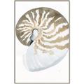 Picture of Sea Shell II _GroupedProduct_Rectangle_Portrait_Canvas_Framed_
