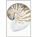 Picture of Sea Shell II _GroupedProduct_Rectangle_Portrait_Canvas_Framed_