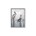 Picture of Observing Pelicans _GroupedProduct_Rectangle_Portrait_Canvas_Framed_