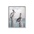 Picture of Observing Pelicans _GroupedProduct_Rectangle_Portrait_Canvas_Framed_