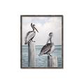 Picture of Observing Pelicans _GroupedProduct_Rectangle_Portrait_Canvas_Framed_