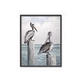 Picture of Observing Pelicans _GroupedProduct_Rectangle_Portrait_Canvas_Framed_