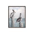 Picture of Observing Pelicans _GroupedProduct_Rectangle_Portrait_Canvas_Framed_