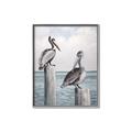 Picture of Observing Pelicans _GroupedProduct_Rectangle_Portrait_Canvas_Framed_