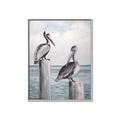 Picture of Observing Pelicans _GroupedProduct_Rectangle_Portrait_Canvas_Framed_