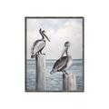 Picture of Observing Pelicans _GroupedProduct_Rectangle_Portrait_Canvas_Framed_