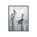 Picture of Observing Pelicans _GroupedProduct_Rectangle_Portrait_Canvas_Framed_