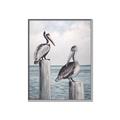 Picture of Observing Pelicans _GroupedProduct_Rectangle_Portrait_Canvas_Framed_