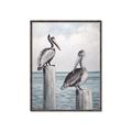 Picture of Observing Pelicans _GroupedProduct_Rectangle_Portrait_Canvas_Framed_