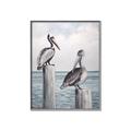 Picture of Observing Pelicans _GroupedProduct_Rectangle_Portrait_Canvas_Framed_
