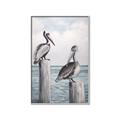 Picture of Observing Pelicans _GroupedProduct_Rectangle_Portrait_Canvas_Framed_