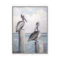 Picture of Observing Pelicans _GroupedProduct_Rectangle_Portrait_Canvas_Framed_