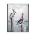 Picture of Observing Pelicans _GroupedProduct_Rectangle_Portrait_Canvas_Framed_
