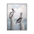 Picture of Observing Pelicans _GroupedProduct_Rectangle_Portrait_Canvas_Framed_