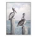Picture of Observing Pelicans _GroupedProduct_Rectangle_Portrait_Canvas_Framed_